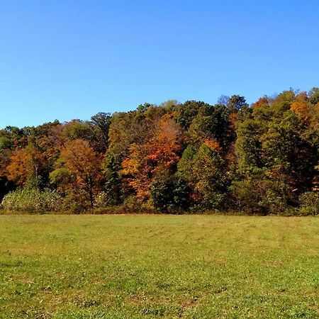 Отель Altenbrauch Farm - Camping In The Hocking Hills Stella Экстерьер фото