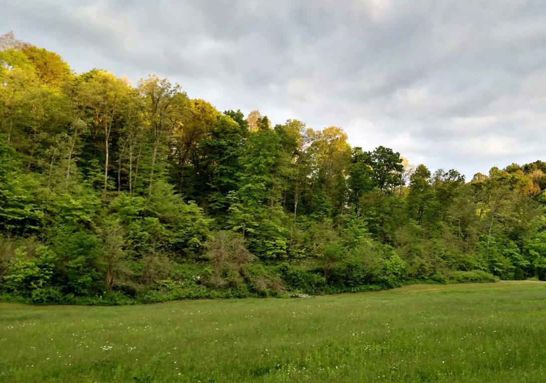 Отель Altenbrauch Farm - Camping In The Hocking Hills Stella Экстерьер фото