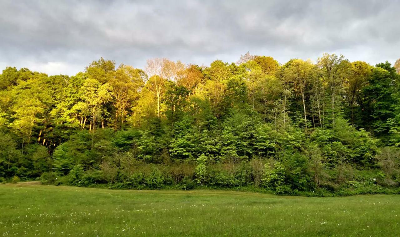 Отель Altenbrauch Farm - Camping In The Hocking Hills Stella Экстерьер фото